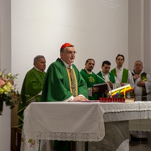 Kardinal Bozanić blagoslovio nove orgulje u Sloboštini